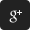 Google+ icon